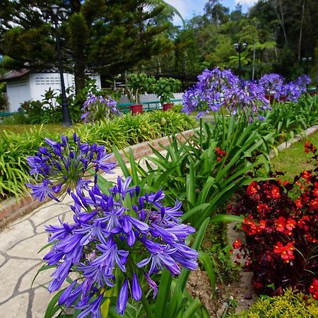 Spot On 89751 Bed Station Guest House Tanah Rata Εξωτερικό φωτογραφία